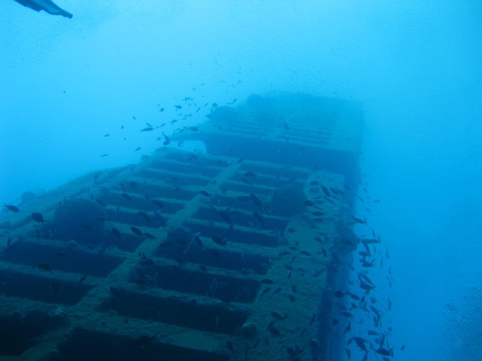 462490357_8541680369242117_3001734308166903008_n