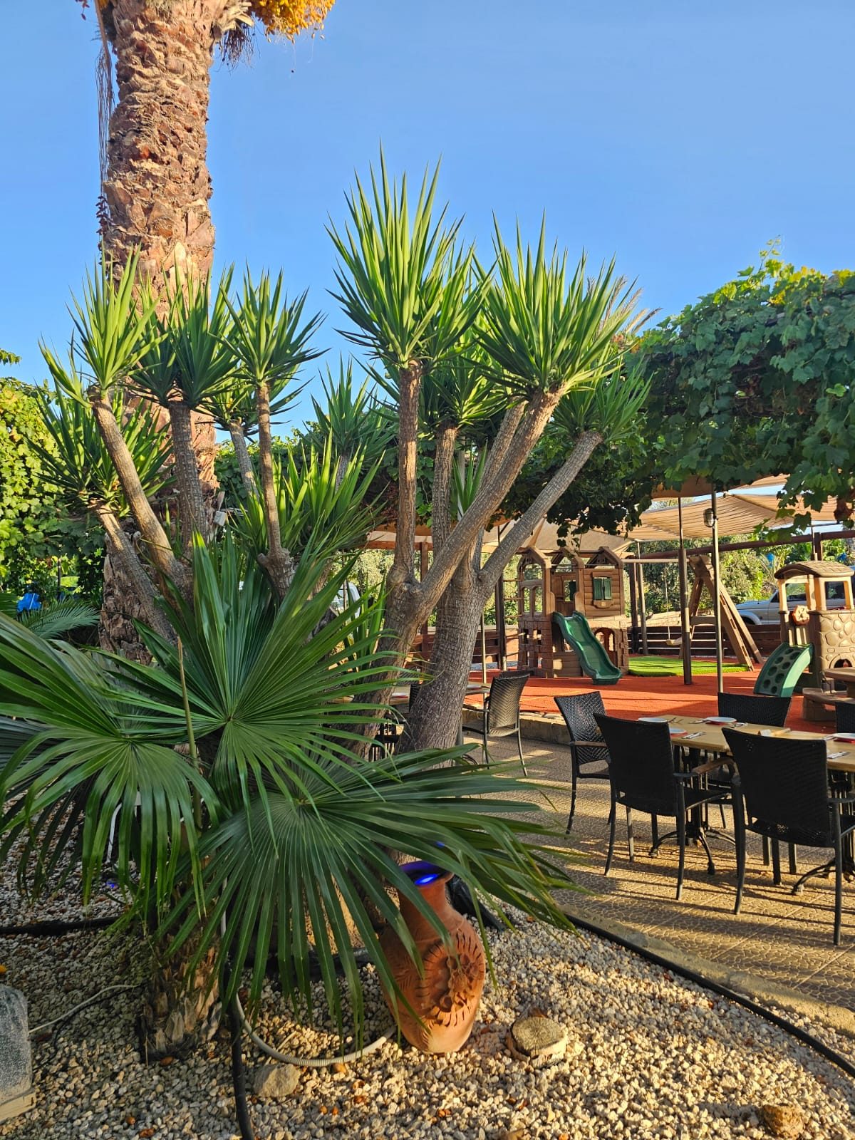 1b060702-ac9e-40a1-9eb1-8dcb9357177a