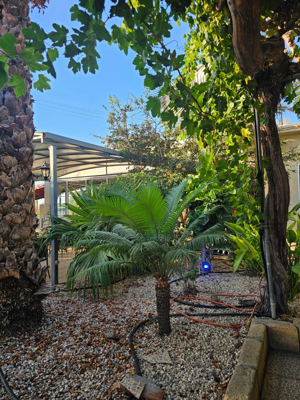 4876c8aa-10ff-4604-b1cc-747dac9ee7f0