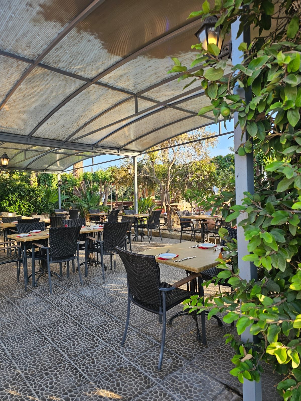 b0473d2d-67e9-4483-943b-44813ba33112