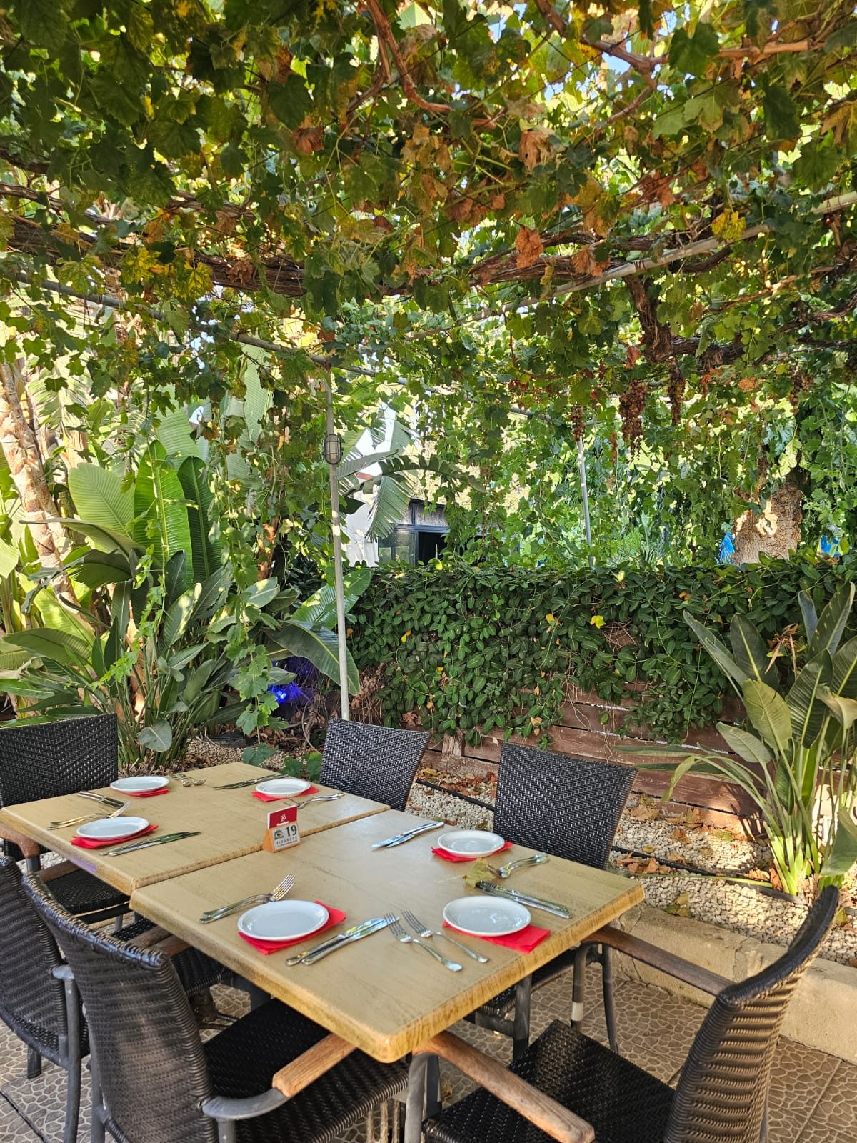 d118b55c-fe52-45e0-9b19-c19b57913d35